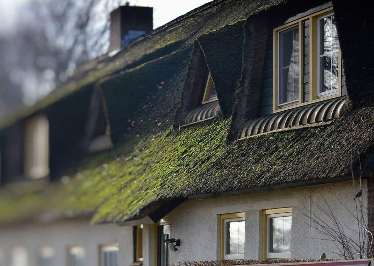 B&B-Hotel De Joremeinshoeve Kaatsheuvel Bagian luar foto